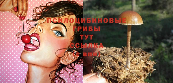 скорость Пересвет
